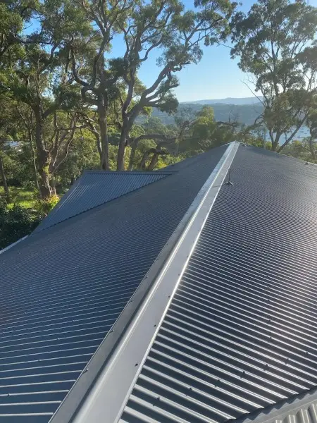 Grey metal hip roof ridge surrounded by tall gum trees